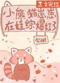小熊猫崽崽在娃综爆红了小说免费阅读