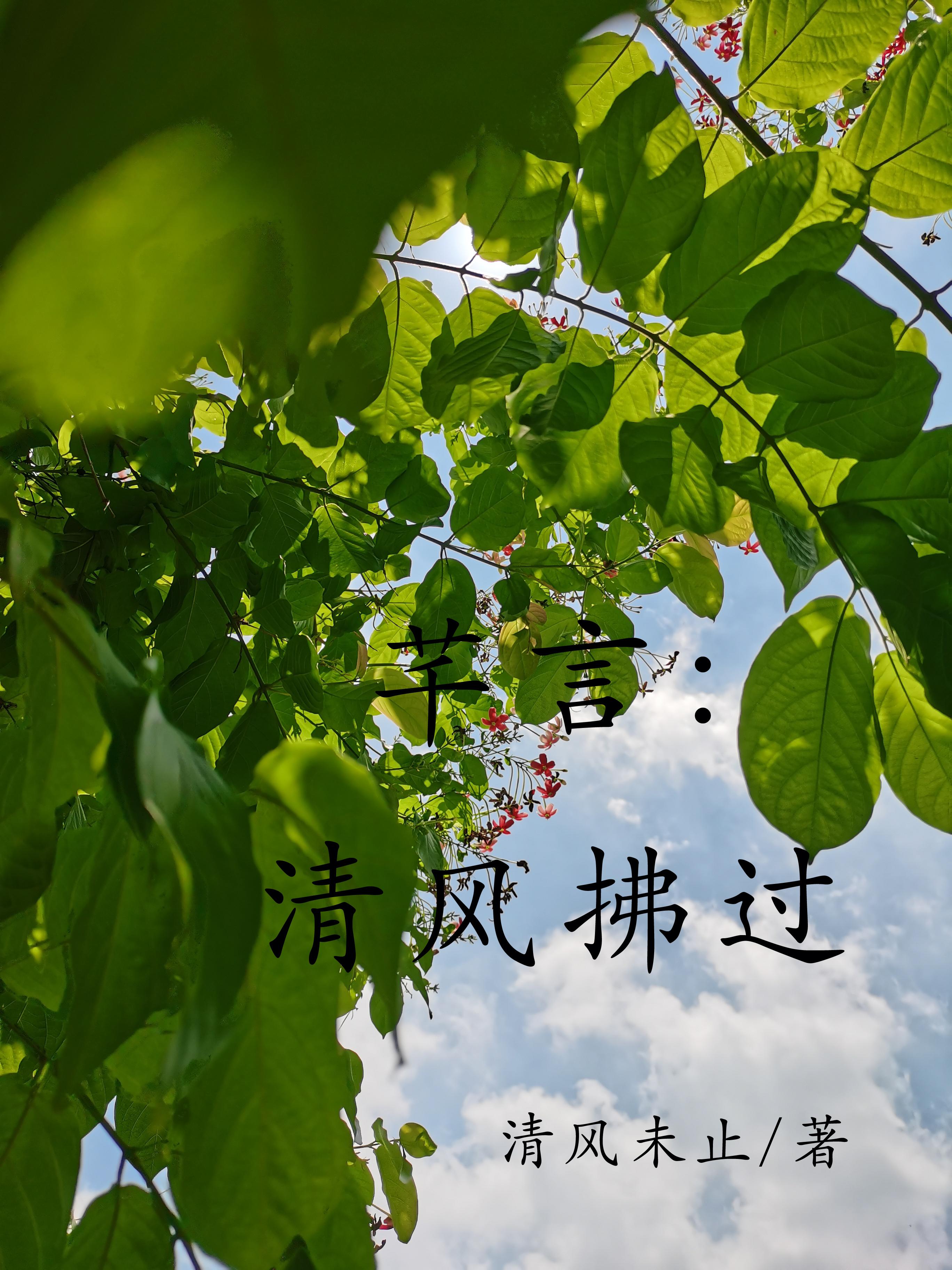 芊言：清风拂过