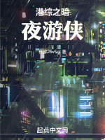 港综之暗夜游侠